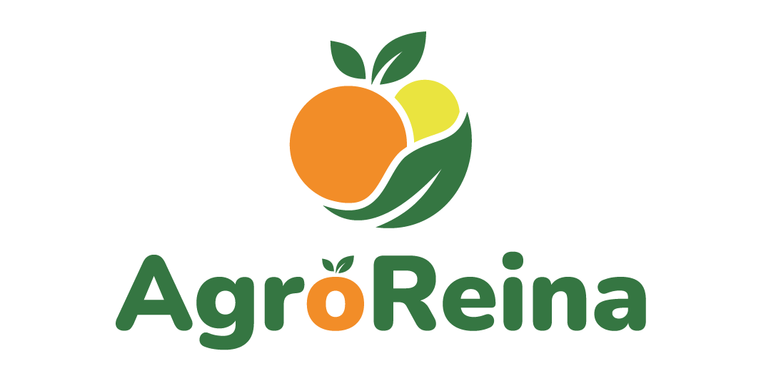 Herramienta 2